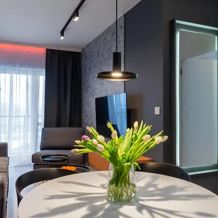 Apartment Maves - Sauna & Gym Nadmotlawie Gdansk