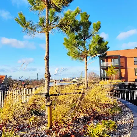 Maves - Sauna & Gym Nadmotlawie * גדנסק